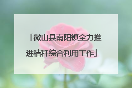 微山县南阳镇全力推进秸秆综合利用工作
