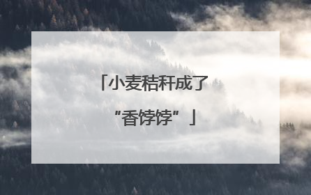 小麦秸秆成了“香饽饽”