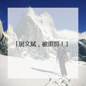 屠文斌，被重罚！