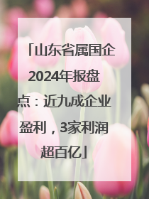 山东省属国企2024年报盘点：近九成企业盈利，3家利润超百亿