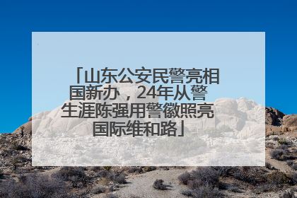 山东公安民警亮相国新办，24年从警生涯陈强用警徽照亮国际维和路