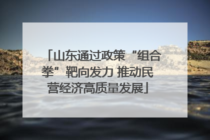 山东通过政策“组合拳”靶向发力 推动民营经济高质量发展