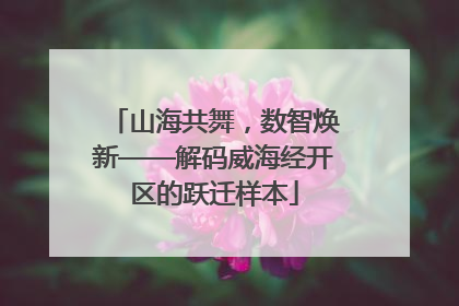 山海共舞，数智焕新——解码威海经开区的跃迁样本