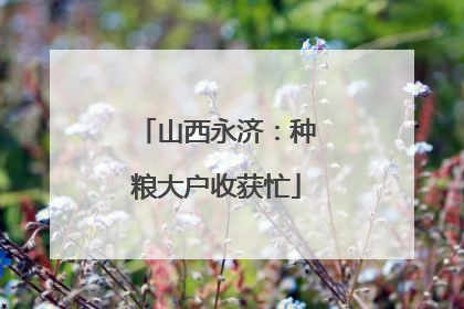 山西永济：种粮大户收获忙
