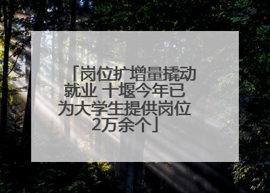 岗位扩增量撬动就业 十堰今年已为大学生提供岗位2万余个