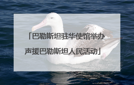 巴勒斯坦驻华使馆举办声援巴勒斯坦人民活动