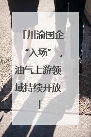 川渝国企“入场”，油气上游领域持续开放