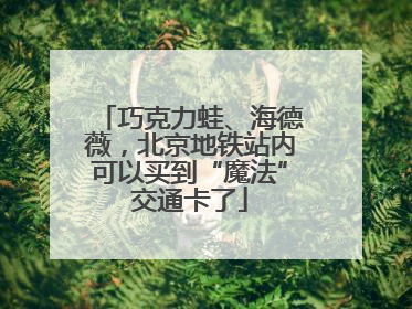 巧克力蛙、海德薇，北京地铁站内可以买到“魔法”交通卡了