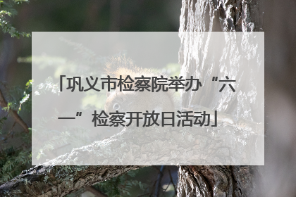 巩义市检察院举办“六一”检察开放日活动