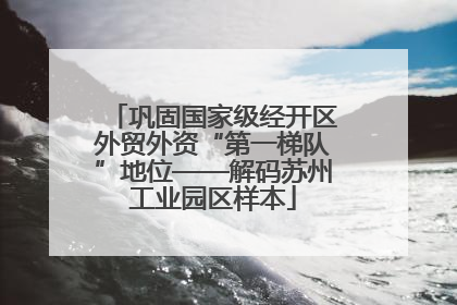 巩固国家级经开区外贸外资“第一梯队”地位——解码苏州工业园区样本