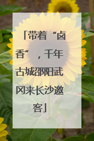 带着“卤香”，千年古城邵阳武冈来长沙邀客