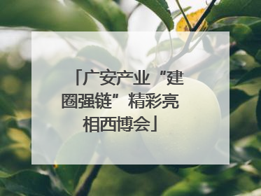广安产业“建圈强链”精彩亮相西博会