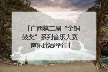 广西第二届“金铜鼓奖”系列音乐大赛声乐比赛举行