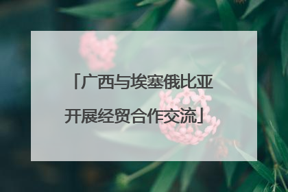 广西与埃塞俄比亚开展经贸合作交流