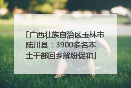 广西壮族自治区玉林市陆川县：3900多名本土干部回乡解纷促和