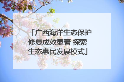 广西海洋生态保护修复成效显著 探索生态惠民发展模式