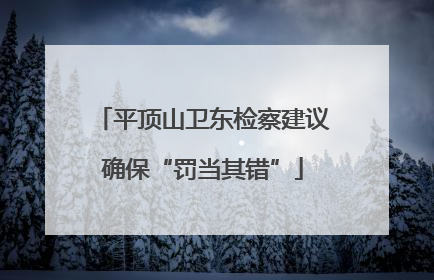 平顶山卫东检察建议确保“罚当其错”