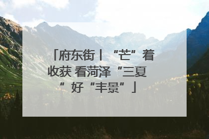 府东街丨“芒”着收获 看菏泽“三夏”好“丰景”