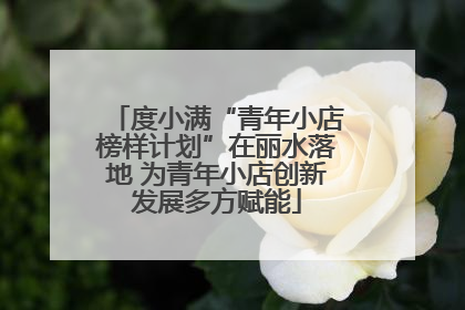 度小满“青年小店榜样计划”在丽水落地 为青年小店创新发展多方赋能
