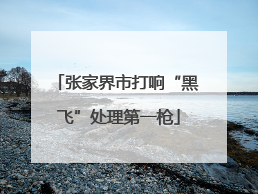 张家界市打响“黑飞”处理第一枪