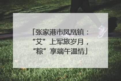 张家港市凤凰镇：“艾”上军旅岁月，“粽”享端午温情