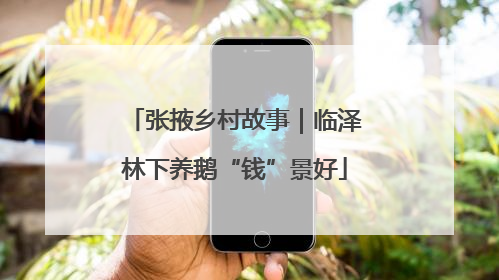 张掖乡村故事｜临泽林下养鹅“钱”景好
