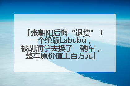 张朝阳后悔“退货”！一个绝版Labubu，被胡润拿去换了一辆车，整车原价值上百万元