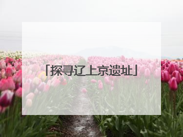 探寻辽上京遗址