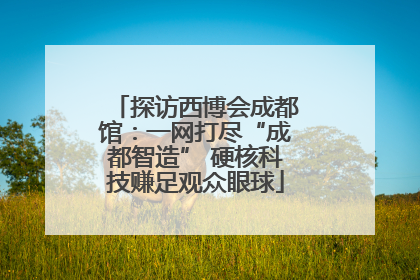探访西博会成都馆：一网打尽“成都智造” 硬核科技赚足观众眼球