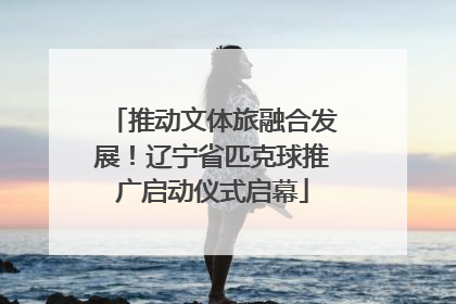 推动文体旅融合发展！辽宁省匹克球推广启动仪式启幕