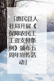 惠民县人社局开展《保障农民工工资支付条例》颁布五周年宣传活动