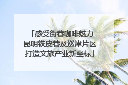 感受街巷咖啡魅力 昆明铁皮巷及巡津片区打造文旅产业新坐标