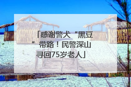 感谢警犬“黑豆”带路！民警深山寻回75岁老人