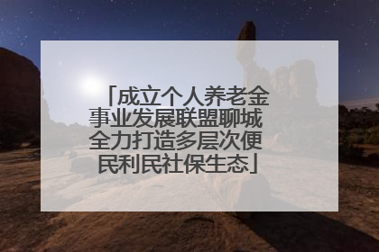 成立个人养老金事业发展联盟聊城全力打造多层次便民利民社保生态