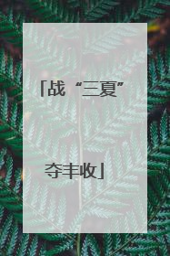 战“三夏” 夺丰收
