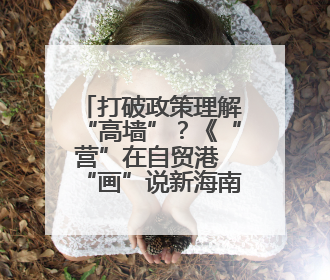 打破政策理解“高墙”？《“营”在自贸港 “画”说新海南》发布