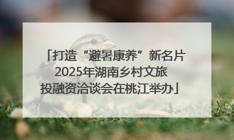 打造“避暑康养”新名片 2025年湖南乡村文旅投融资洽谈会在桃江举办