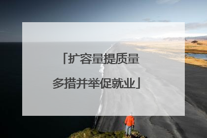 扩容量提质量 多措并举促就业
