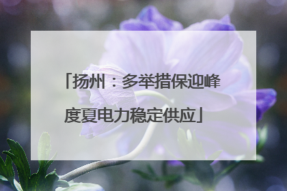 扬州：多举措保迎峰度夏电力稳定供应