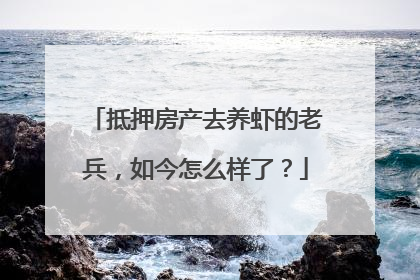 抵押房产去养虾的老兵，如今怎么样了？
