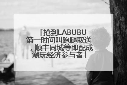 抢到LABUBU第一时间叫跑腿取送，顺丰同城等即配成潮玩经济参与者