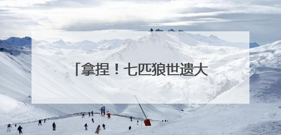 拿捏！七匹狼世遗大秀把色彩时髦穿搭玩明白，每一套都想冲
