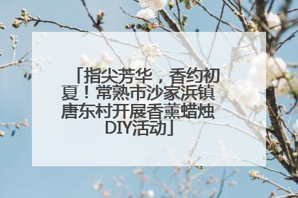 指尖芳华，香约初夏！常熟市沙家浜镇唐东村开展香薰蜡烛DIY活动