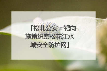 松北公安：靶向施策织密松花江水域安全防护网