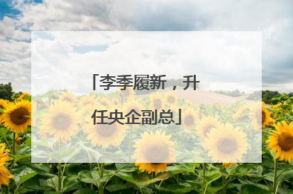李季履新，升任央企副总