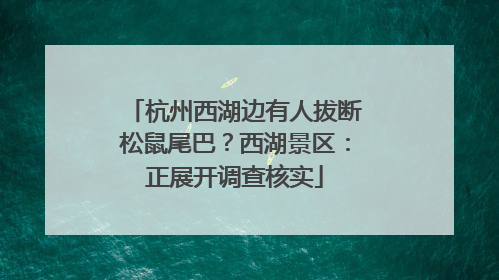 杭州西湖边有人拔断松鼠尾巴？西湖景区：正展开调查核实