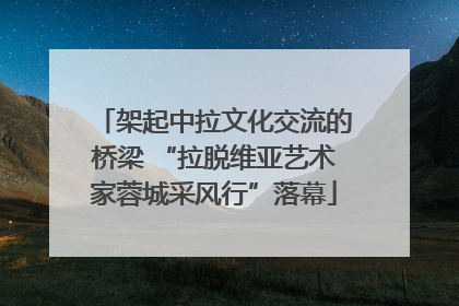 架起中拉文化交流的桥梁 “拉脱维亚艺术家蓉城采风行”落幕