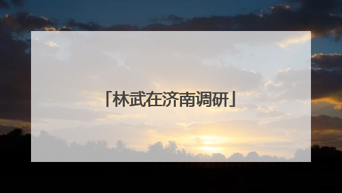 林武在济南调研