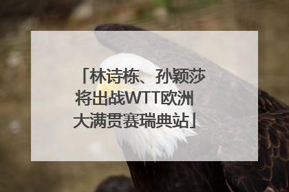 林诗栋、孙颖莎将出战WTT欧洲大满贯赛瑞典站