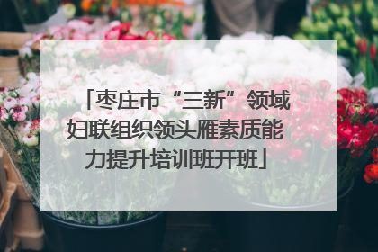枣庄市“三新”领域妇联组织领头雁素质能力提升培训班开班